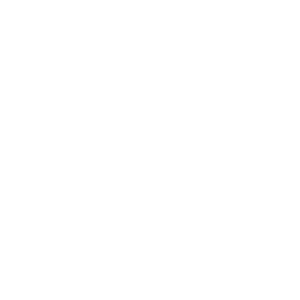 Logo weiß 5FSoftware GmbH